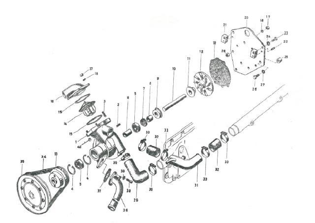 68005999_1.jpg